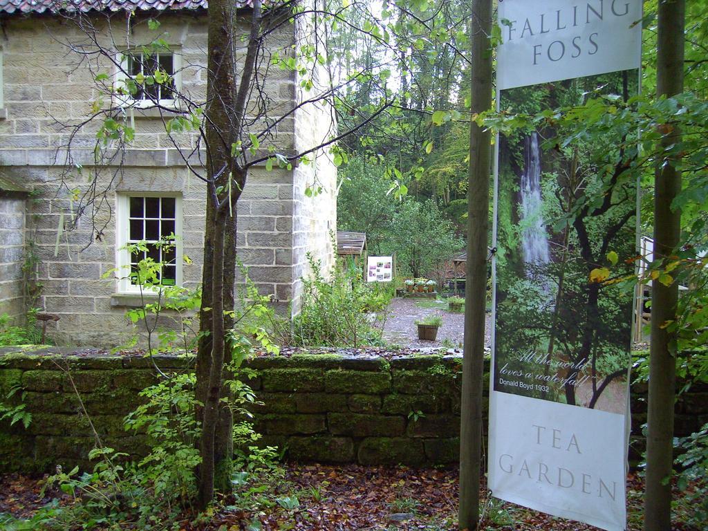 Thorpe Green House Vegetarian Bed & Breakfast Robin Hood's Bay Bagian luar foto