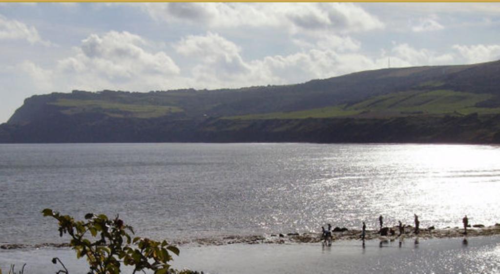 Thorpe Green House Vegetarian Bed & Breakfast Robin Hood's Bay Bagian luar foto