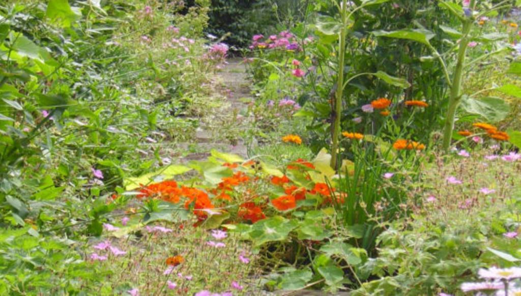 Thorpe Green House Vegetarian Bed & Breakfast Robin Hood's Bay Bagian luar foto
