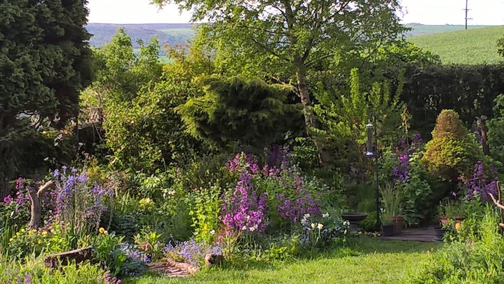Thorpe Green House Vegetarian Bed & Breakfast Robin Hood's Bay Bagian luar foto