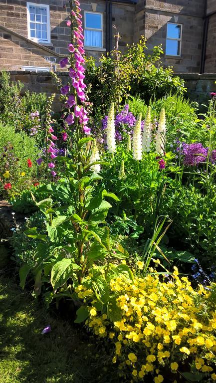 Thorpe Green House Vegetarian Bed & Breakfast Robin Hood's Bay Bagian luar foto
