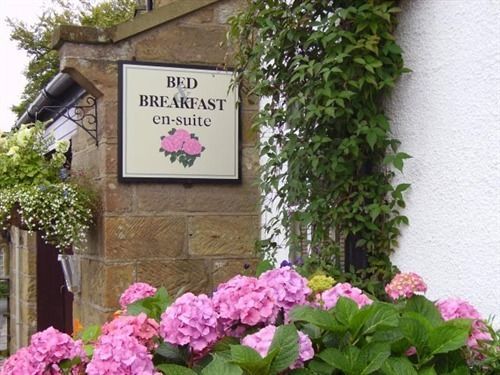 Thorpe Green House Vegetarian Bed & Breakfast Robin Hood's Bay Bagian luar foto