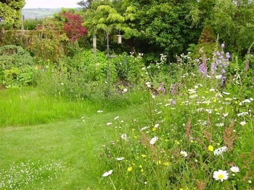 Thorpe Green House Vegetarian Bed & Breakfast Robin Hood's Bay Bagian luar foto